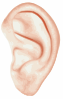 active listening ear