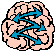 sym-brain-connect